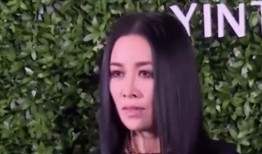 女明星互撕爆料视频大全,视频大全背后的真相与内幕