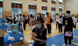 小高梨最新爆料消息,揭秘娱乐圈最新动态