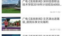 深圳龙岗新闻爆料事件,聚焦事件真相与公众关注